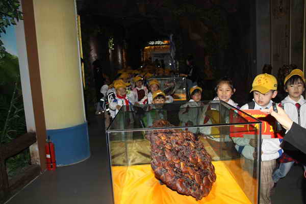 杭州亞運會官方靈芝產(chǎn)品供應商|杭州亞運會官方供應商|中國靈芝十大品牌|仙客來靈芝|仙客來靈芝破壁孢子粉|仙客來孢子油|仙客來靈芝飲片|仙客來破壁孢子粉|靈芝孢子油|孢子粉|靈芝破壁孢子粉|靈芝|中華老字號