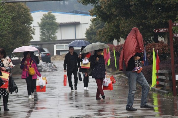 杭州亞運會官方靈芝產(chǎn)品供應(yīng)商|杭州亞運會官方供應(yīng)商|中國靈芝十大品牌|仙客來靈芝|仙客來靈芝破壁孢子粉|仙客來孢子油|仙客來靈芝飲片|仙客來破壁孢子粉|靈芝孢子油|孢子粉|靈芝破壁孢子粉|靈芝|中華老字號