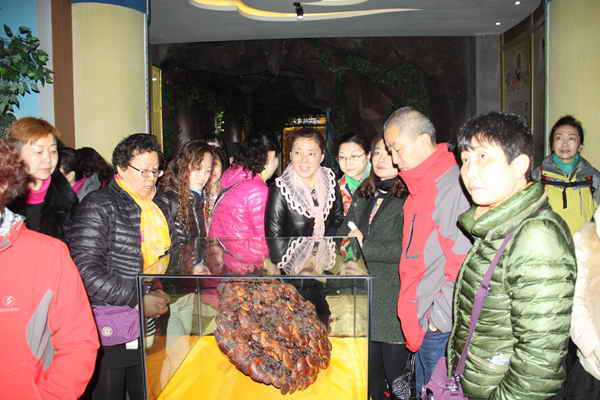 杭州亞運(yùn)會(huì)官方靈芝產(chǎn)品供應(yīng)商|杭州亞運(yùn)會(huì)官方供應(yīng)商|中國(guó)靈芝十大品牌|仙客來(lái)靈芝|仙客來(lái)靈芝破壁孢子粉|仙客來(lái)孢子油|仙客來(lái)靈芝飲片|仙客來(lái)破壁孢子粉|靈芝孢子油|孢子粉|靈芝破壁孢子粉|靈芝|中華老字號(hào) 杭州亞運(yùn)會(huì)官方靈芝產(chǎn)品供應(yīng)商|杭州亞運(yùn)會(huì)官方供應(yīng)商|中國(guó)靈芝十大品牌|仙客來(lái)靈芝|仙客來(lái)靈芝破壁孢子粉|仙客來(lái)孢子油|仙客來(lái)靈芝飲片|仙客來(lái)破壁孢子粉|靈芝孢子油|孢子粉|靈芝破壁孢子粉|靈芝|中華老字號(hào)