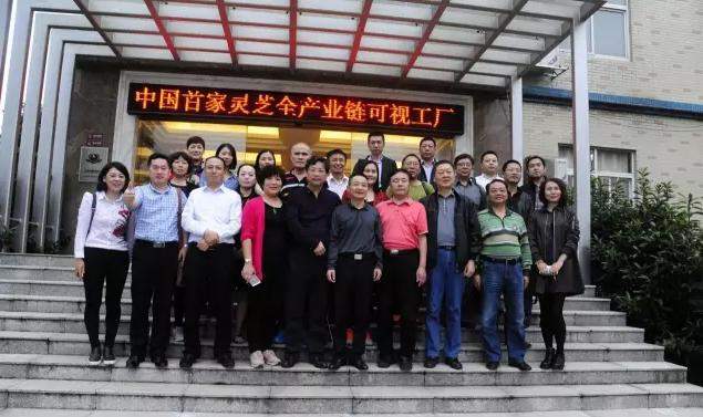 杭州亞運會官方靈芝產(chǎn)品供應商|杭州亞運會官方供應商|中國靈芝十大品牌|仙客來靈芝|仙客來靈芝破壁孢子粉|仙客來孢子油|仙客來靈芝飲片|仙客來破壁孢子粉|靈芝孢子油|孢子粉|靈芝破壁孢子粉|靈芝|中華老字號