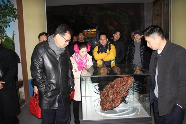 杭州亞運(yùn)會(huì)官方靈芝產(chǎn)品供應(yīng)商|杭州亞運(yùn)會(huì)官方供應(yīng)商|中國(guó)靈芝十大品牌|仙客來靈芝|仙客來靈芝破壁孢子粉|仙客來孢子油|仙客來靈芝飲片|仙客來破壁孢子粉|靈芝孢子油|孢子粉|靈芝破壁孢子粉|靈芝|中華老字號(hào)