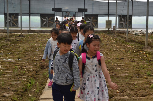 杭州亞運(yùn)會官方靈芝產(chǎn)品供應(yīng)商|杭州亞運(yùn)會官方供應(yīng)商|中國靈芝十大品牌|仙客來靈芝|仙客來靈芝破壁孢子粉|仙客來孢子油|仙客來靈芝飲片|仙客來破壁孢子粉|靈芝孢子油|孢子粉|靈芝破壁孢子粉|靈芝|中華老字號