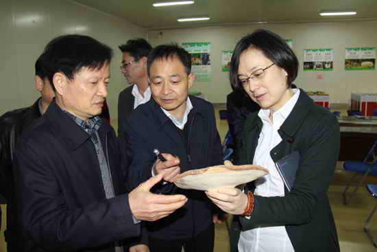 杭州亞運會官方靈芝產品供應商|杭州亞運會官方供應商|中國靈芝十大品牌|仙客來靈芝|仙客來靈芝破壁孢子粉|仙客來孢子油|仙客來靈芝飲片|仙客來破壁孢子粉|靈芝孢子油|孢子粉|靈芝破壁孢子粉|靈芝|中華老字號