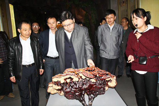 杭州亞運(yùn)會官方靈芝產(chǎn)品供應(yīng)商|杭州亞運(yùn)會官方供應(yīng)商|中國靈芝十大品牌|仙客來靈芝|仙客來靈芝破壁孢子粉|仙客來孢子油|仙客來靈芝飲片|仙客來破壁孢子粉|靈芝孢子油|孢子粉|靈芝破壁孢子粉|靈芝|中華老字號