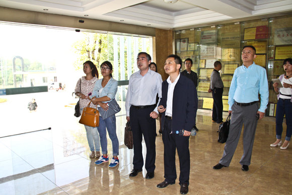 杭州亞運(yùn)會官方靈芝產(chǎn)品供應(yīng)商|杭州亞運(yùn)會官方供應(yīng)商|中國靈芝十大品牌|仙客來靈芝|仙客來靈芝破壁孢子粉|仙客來孢子油|仙客來靈芝飲片|仙客來破壁孢子粉|靈芝孢子油|孢子粉|靈芝破壁孢子粉|靈芝|中華老字號