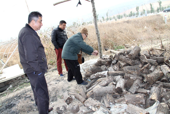 杭州亞運(yùn)會(huì)官方靈芝產(chǎn)品供應(yīng)商|杭州亞運(yùn)會(huì)官方供應(yīng)商|中國(guó)靈芝十大品牌|仙客來靈芝|仙客來靈芝破壁孢子粉|仙客來孢子油|仙客來靈芝飲片|仙客來破壁孢子粉|靈芝孢子油|孢子粉|靈芝破壁孢子粉|靈芝|中華老字號(hào)