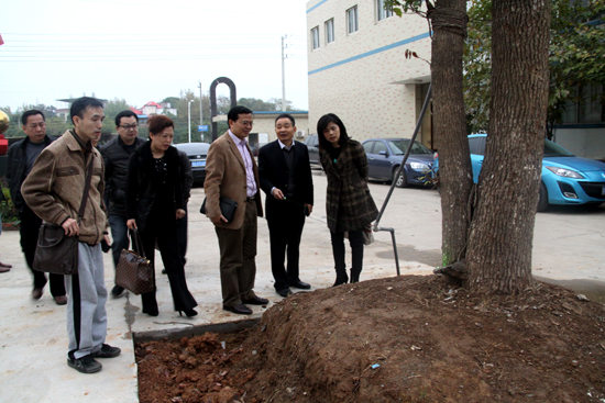 杭州亞運會官方靈芝產品供應商|杭州亞運會官方供應商|中國靈芝十大品牌|仙客來靈芝|仙客來靈芝破壁孢子粉|仙客來孢子油|仙客來靈芝飲片|仙客來破壁孢子粉|靈芝孢子油|孢子粉|靈芝破壁孢子粉|靈芝|中華老字號