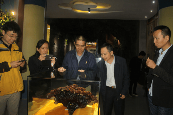 1540446882304851.png 杭州亞運(yùn)會(huì)官方靈芝產(chǎn)品供應(yīng)商|杭州亞運(yùn)會(huì)官方供應(yīng)商|中國(guó)靈芝十大品牌|仙客來(lái)靈芝|仙客來(lái)靈芝破壁孢子粉|仙客來(lái)孢子油|仙客來(lái)靈芝飲片|仙客來(lái)破壁孢子粉|靈芝孢子油|孢子粉|靈芝破壁孢子粉|靈芝|中華老字號(hào)