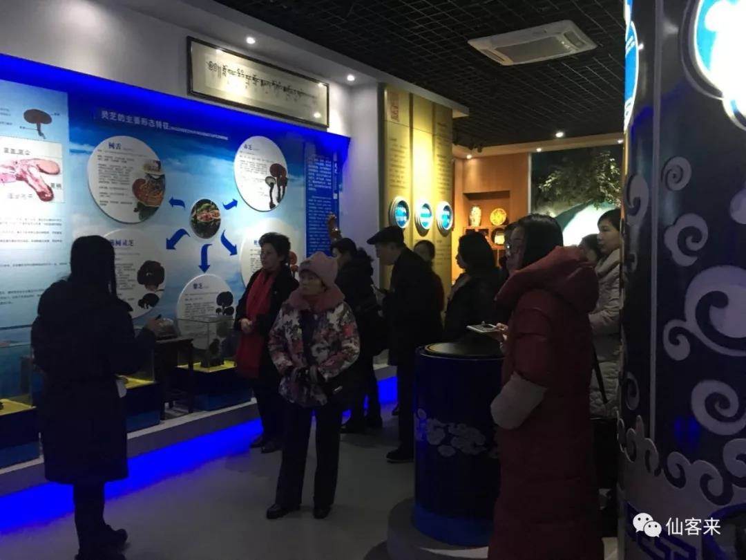 中國靈芝十大品牌|仙客來靈芝|仙客來靈芝破壁孢子粉|仙客來孢子油|仙客來靈芝飲片|仙客來破壁孢子粉|仙客來靈芝中藥飲片|馳名商標(biāo)|whsy100.cn|