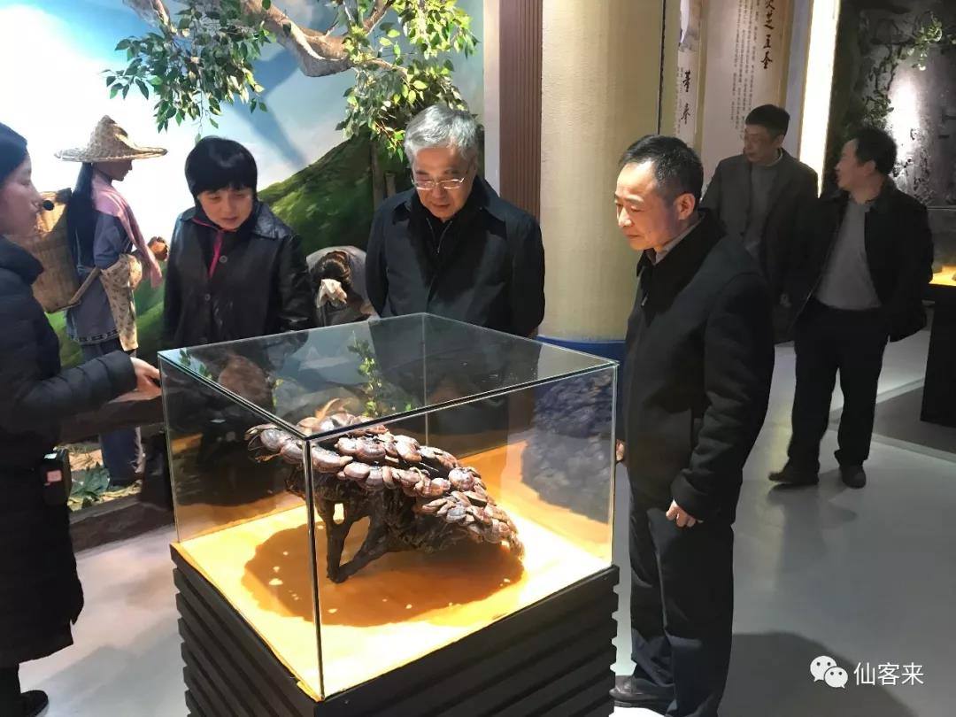 中國靈芝十大品牌|仙客來靈芝|仙客來靈芝破壁孢子粉|仙客來孢子油|仙客來靈芝飲片|仙客來破壁孢子粉|仙客來靈芝中藥飲片|馳名商標|whsy100.cn|