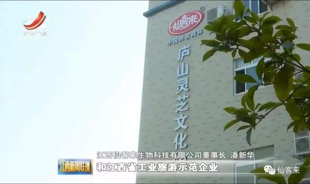 中國靈芝十大品牌|仙客來靈芝|仙客來靈芝破壁孢子粉|仙客來孢子油|仙客來靈芝飲片|仙客來破壁孢子粉|仙客來靈芝中藥飲片|馳名商標(biāo)|whsy100.cn|