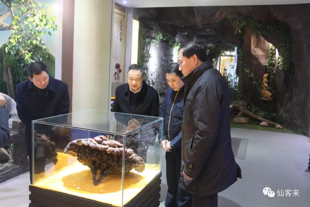 中國靈芝十大品牌|仙客來靈芝|仙客來靈芝破壁孢子粉|仙客來孢子油|仙客來靈芝飲片|仙客來破壁孢子粉|仙客來靈芝中藥飲片|馳名商標(biāo)|whsy100.cn|