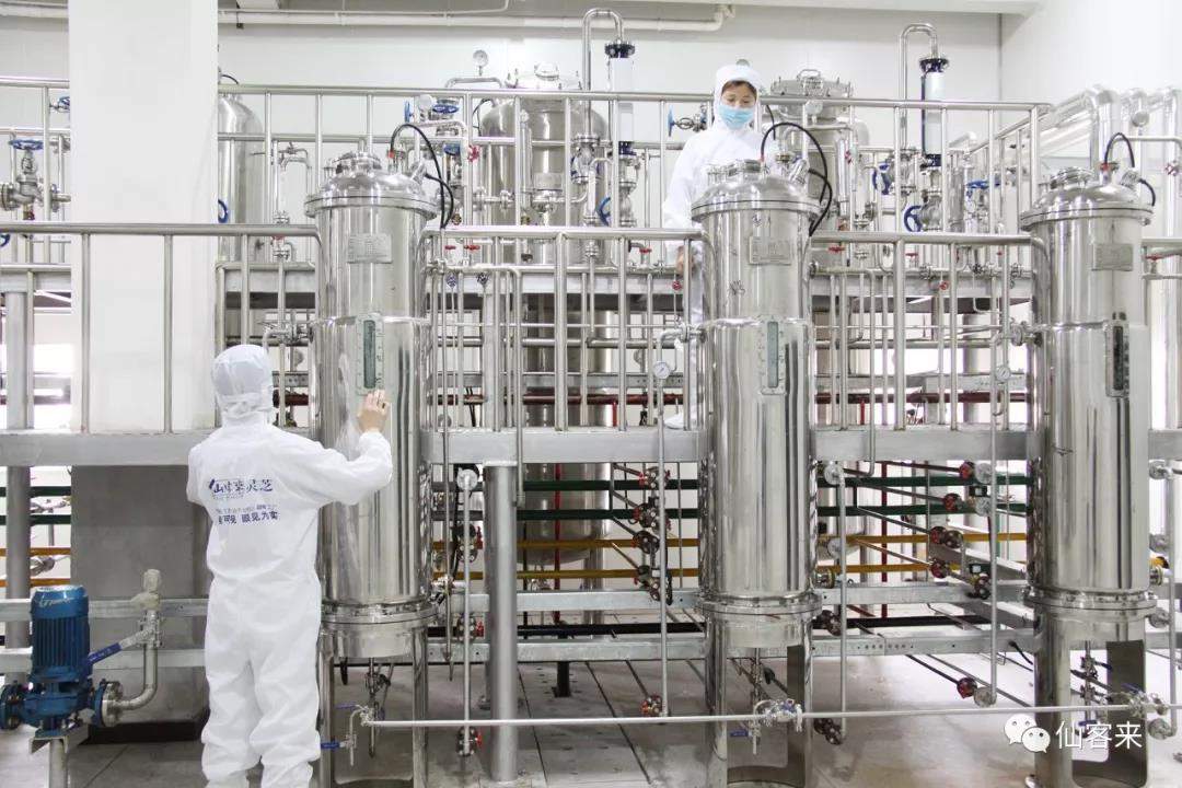 中國靈芝十大品牌|仙客來靈芝|仙客來靈芝破壁孢子粉|仙客來孢子油|仙客來靈芝飲片|仙客來破壁孢子粉|仙客來靈芝中藥飲片|馳名商標(biāo)|whsy100.cn|