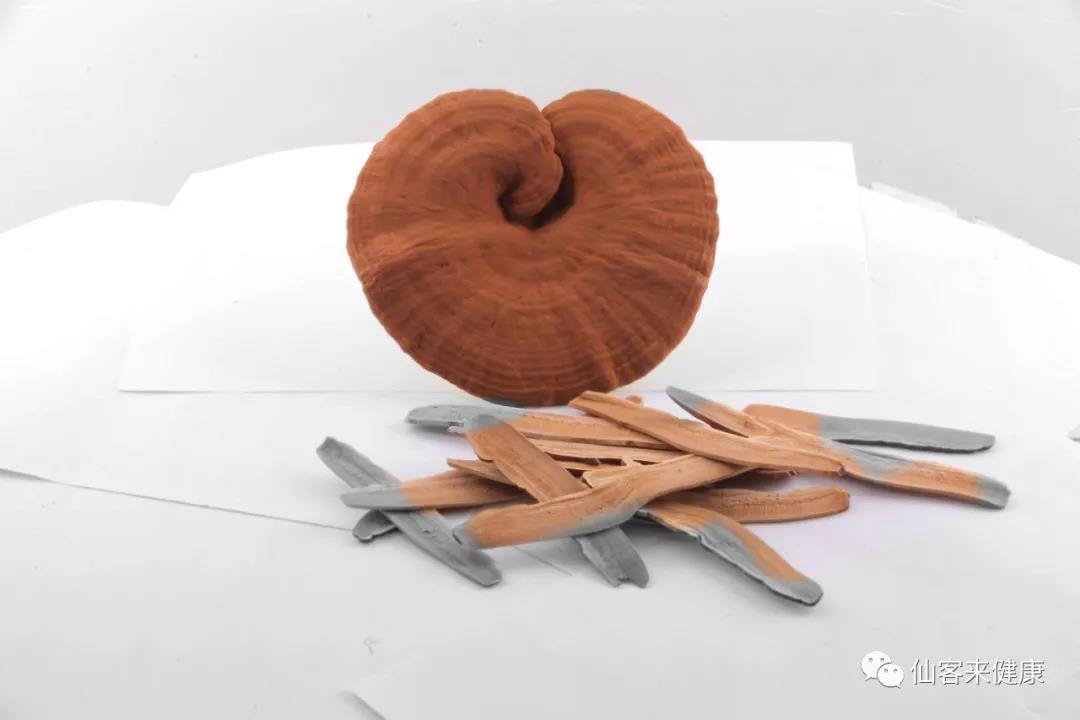 中國靈芝十大品牌|仙客來靈芝|仙客來靈芝破壁孢子粉|仙客來孢子油|仙客來靈芝飲片|仙客來破壁孢子粉|仙客來靈芝中藥飲片|馳名商標(biāo)|whsy100.cn|