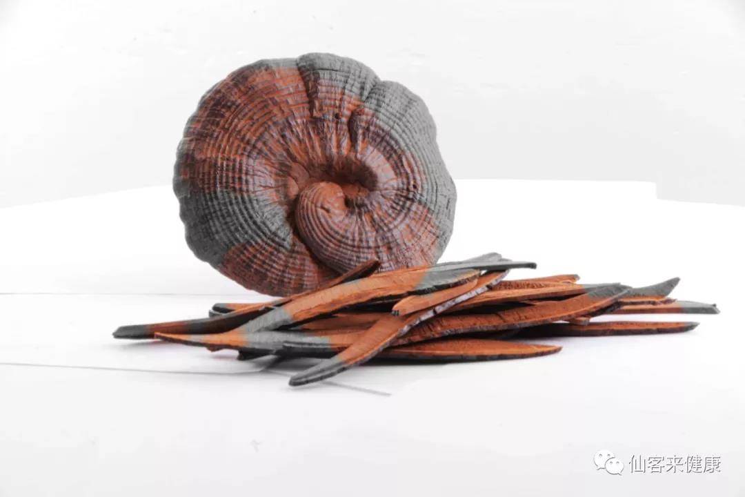 中國靈芝十大品牌|仙客來靈芝|仙客來靈芝破壁孢子粉|仙客來孢子油|仙客來靈芝飲片|仙客來破壁孢子粉|仙客來靈芝中藥飲片|馳名商標(biāo)|whsy100.cn|