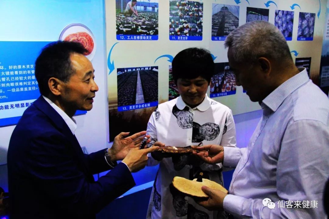 杭州亞運(yùn)會(huì)官方靈芝產(chǎn)品供應(yīng)商|杭州亞運(yùn)會(huì)官方供應(yīng)商|中國靈芝十大品牌|仙客來靈芝|仙客來靈芝破壁孢子粉|仙客來孢子油|仙客來靈芝飲片|仙客來破壁孢子粉|靈芝孢子油|孢子粉|靈芝破壁孢子粉|靈芝|中華老字號(hào)