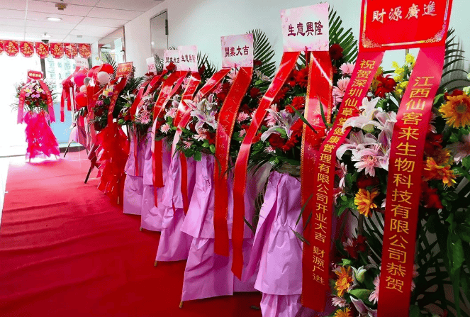 中國靈芝十大品牌|仙客來靈芝|仙客來靈芝破壁孢子粉|仙客來孢子油|仙客來靈芝飲片|仙客來破壁孢子粉|仙客來靈芝中藥飲片|馳名商標(biāo)|whsy100.cn|