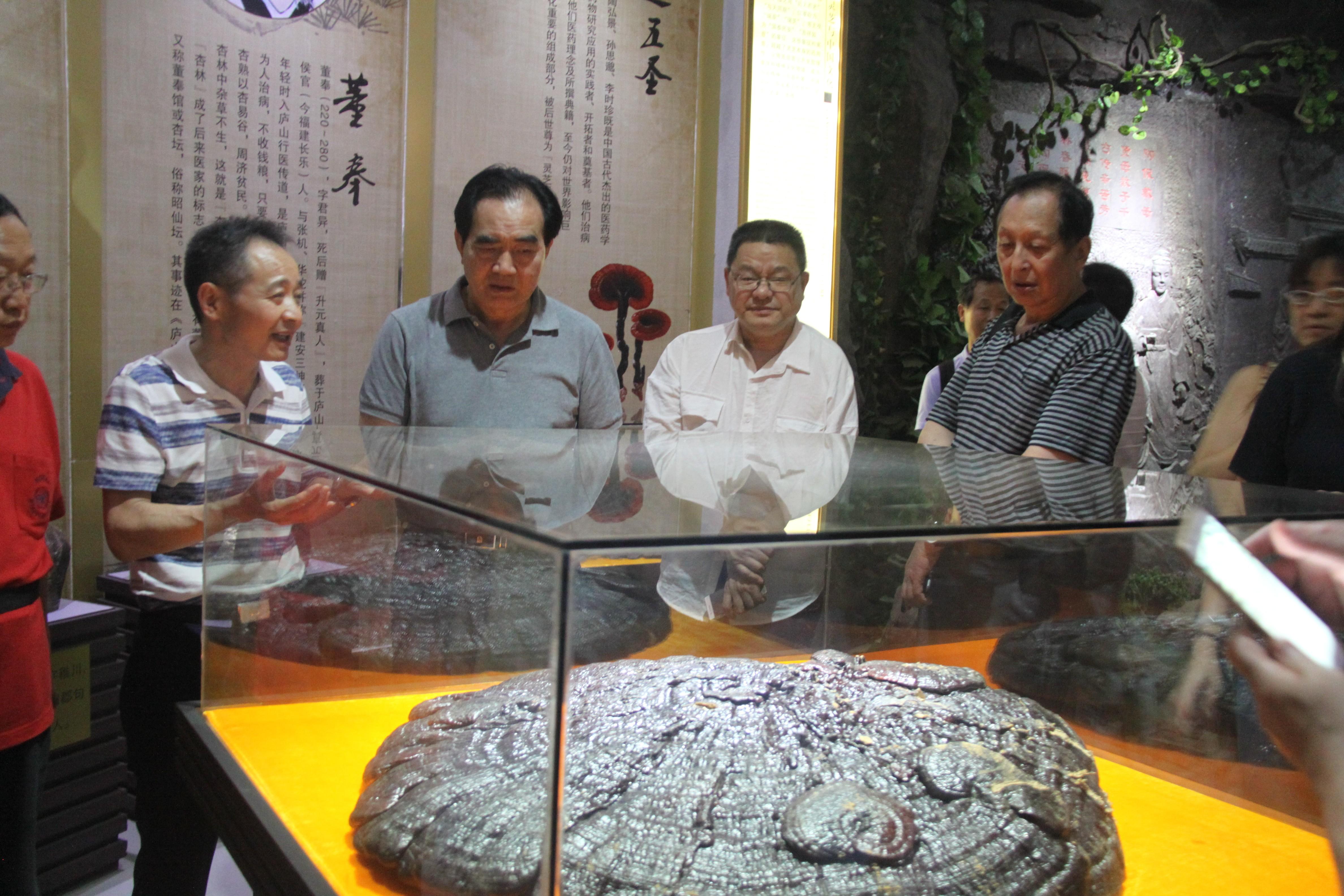 中國(guó)靈芝十大品牌|仙客來靈芝|仙客來靈芝破壁孢子粉|仙客來孢子油|仙客來靈芝飲片|仙客來破壁孢子粉|仙客來靈芝中藥飲片|馳名商標(biāo)|whsy100.cn|