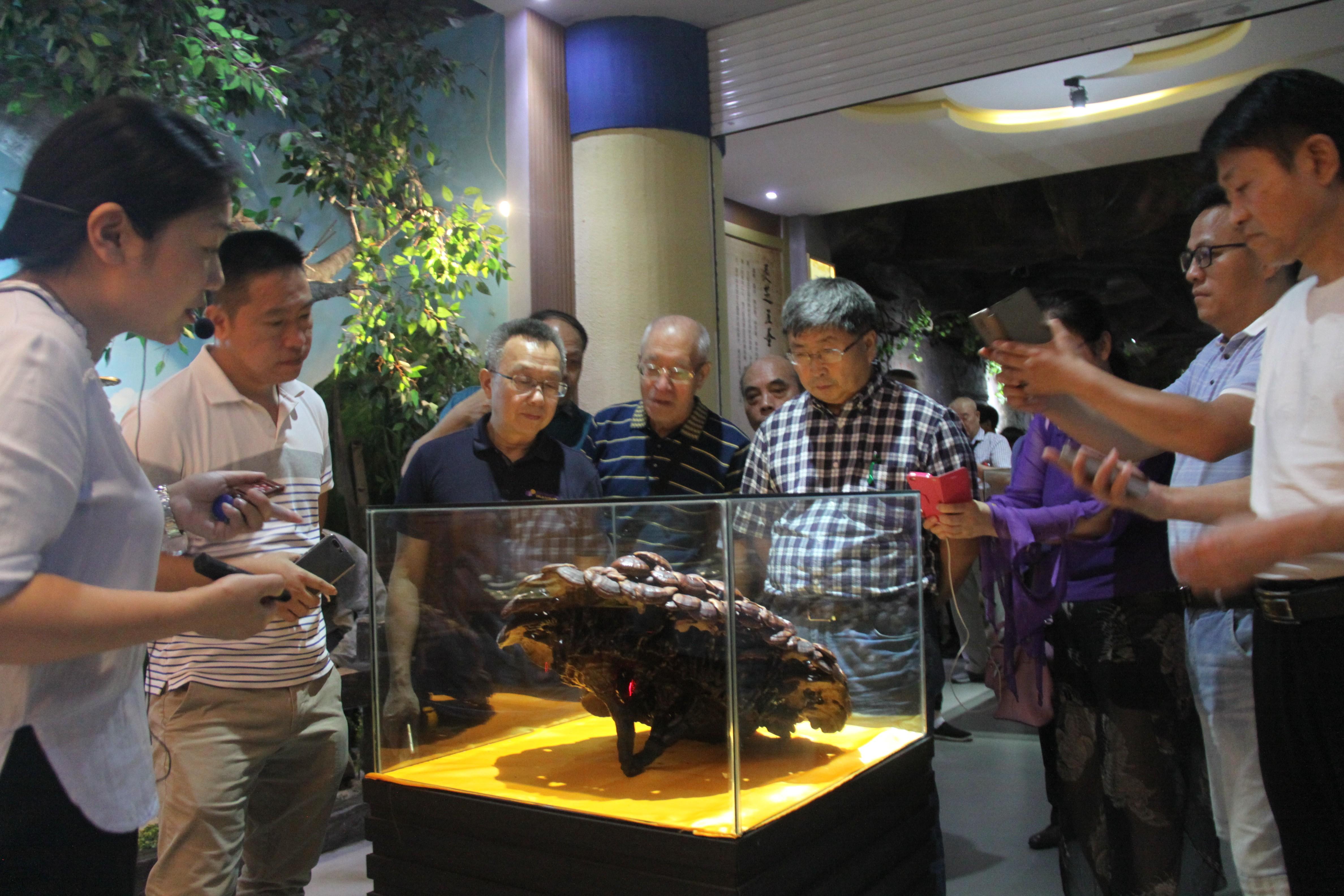 中國(guó)靈芝十大品牌|仙客來靈芝|仙客來靈芝破壁孢子粉|仙客來孢子油|仙客來靈芝飲片|仙客來破壁孢子粉|仙客來靈芝中藥飲片|馳名商標(biāo)|whsy100.cn|