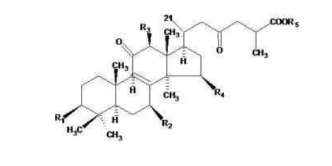 中國靈芝十大品牌|仙客來靈芝|仙客來靈芝破壁孢子粉|仙客來孢子油|仙客來靈芝飲片|仙客來破壁孢子粉|仙客來靈芝中藥飲片|馳名商標(biāo)|whsy100.cn|