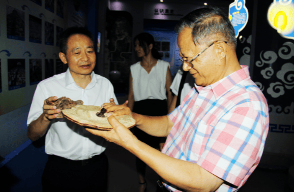 中國(guó)靈芝十大品牌|仙客來(lái)靈芝|仙客來(lái)靈芝破壁孢子粉|仙客來(lái)孢子油|仙客來(lái)靈芝飲片|仙客來(lái)破壁孢子粉|仙客來(lái)靈芝中藥飲片|馳名商標(biāo)|whsy100.cn|