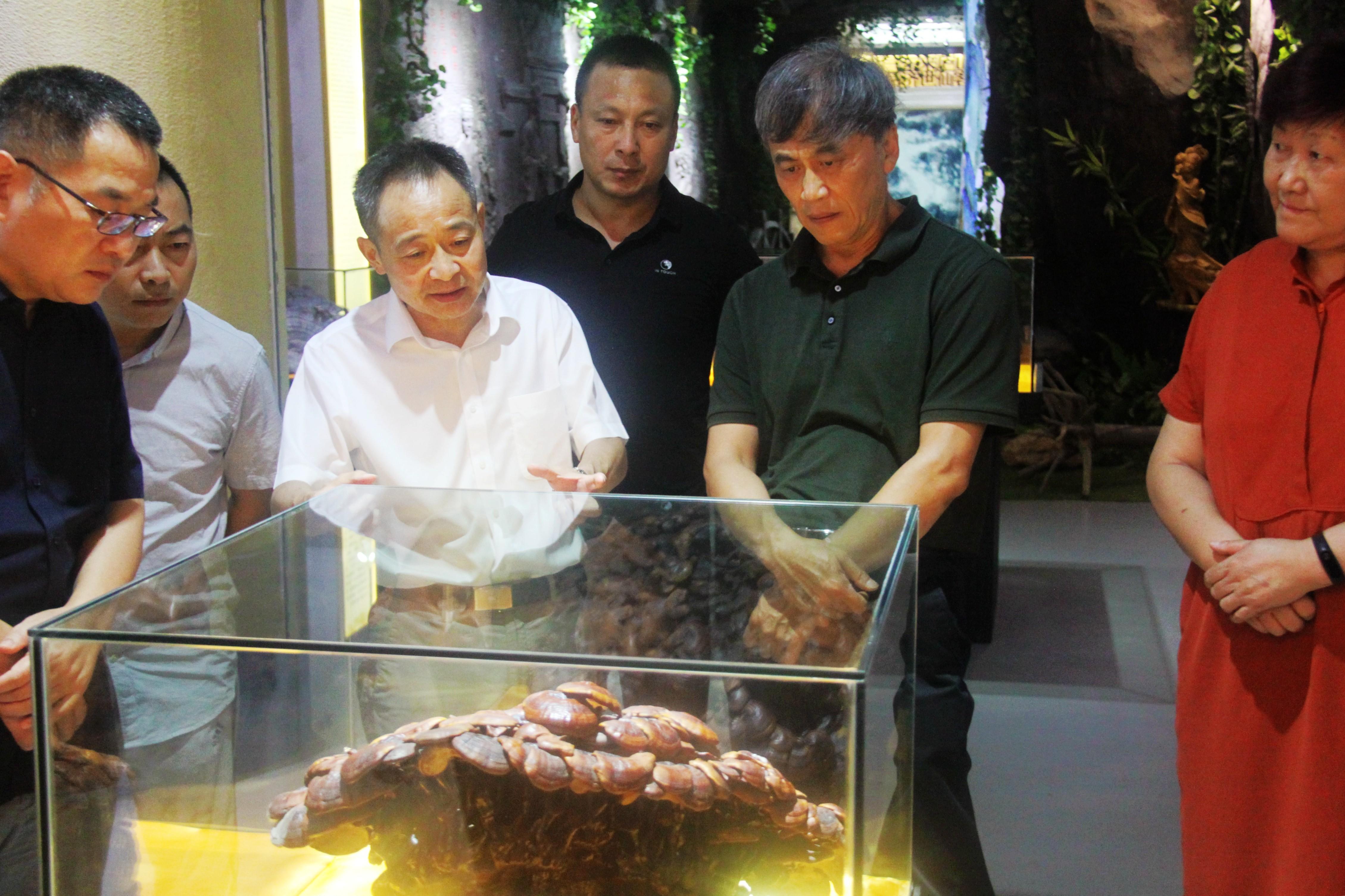 中國靈芝十大品牌|仙客來靈芝|仙客來靈芝破壁孢子粉|仙客來孢子油|仙客來靈芝飲片|仙客來破壁孢子粉|仙客來靈芝中藥飲片|馳名商標(biāo)|whsy100.cn|