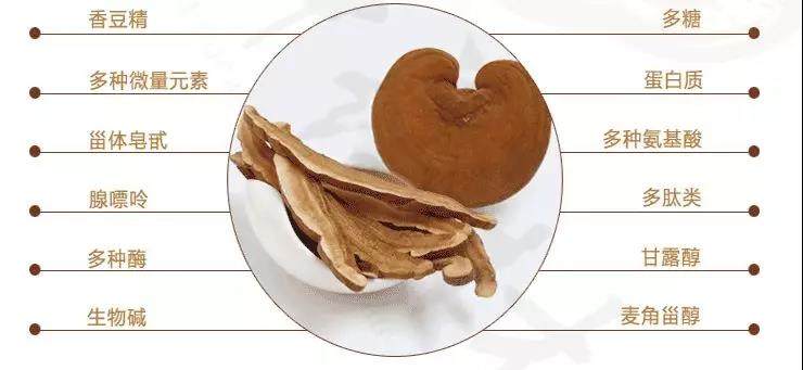 中國(guó)靈芝十大品牌|仙客來靈芝|仙客來靈芝破壁孢子粉|仙客來孢子油|仙客來靈芝飲片|仙客來破壁孢子粉|仙客來靈芝中藥飲片|馳名商標(biāo)|whsy100.cn|