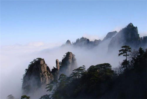 中國(guó)靈芝十大品牌|仙客來(lái)靈芝|仙客來(lái)靈芝破壁孢子粉|仙客來(lái)孢子油|仙客來(lái)靈芝飲片|仙客來(lái)破壁孢子粉|仙客來(lái)靈芝中藥飲片|馳名商標(biāo)|whsy100.cn|