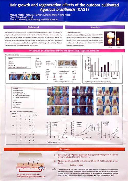 中國(guó)靈芝十大品牌|仙客來靈芝|仙客來靈芝破壁孢子粉|仙客來孢子油|仙客來靈芝飲片|仙客來破壁孢子粉|仙客來靈芝中藥飲片|馳名商標(biāo)|whsy100.cn|