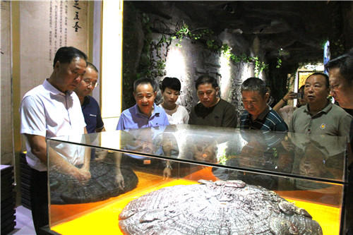 中國靈芝十大品牌|仙客來靈芝|仙客來靈芝破壁孢子粉|仙客來孢子油|仙客來靈芝飲片|仙客來破壁孢子粉|仙客來靈芝中藥飲片|馳名商標(biāo)|whsy100.cn|