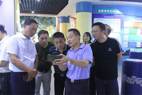 中國靈芝十大品牌|仙客來靈芝|仙客來靈芝破壁孢子粉|仙客來孢子油|仙客來靈芝飲片|仙客來破壁孢子粉|仙客來靈芝中藥飲片|馳名商標(biāo)|whsy100.cn|