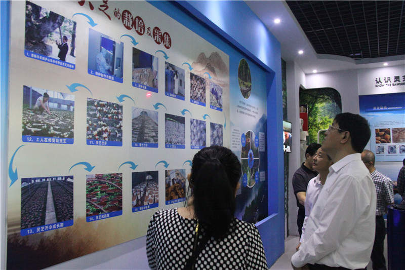 中國靈芝十大品牌|仙客來靈芝|仙客來靈芝破壁孢子粉|仙客來孢子油|仙客來靈芝飲片|仙客來破壁孢子粉|仙客來靈芝中藥飲片|馳名商標(biāo)|whsy100.cn|