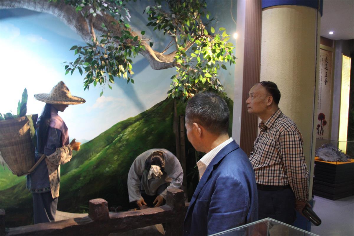 中國靈芝十大品牌|仙客來靈芝|仙客來靈芝破壁孢子粉|仙客來孢子油|仙客來靈芝飲片|仙客來破壁孢子粉|仙客來靈芝中藥飲片|馳名商標(biāo)|whsy100.cn|