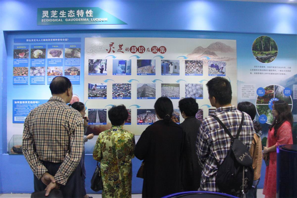 中國靈芝十大品牌|仙客來靈芝|仙客來靈芝破壁孢子粉|仙客來孢子油|仙客來靈芝飲片|仙客來破壁孢子粉|仙客來靈芝中藥飲片|馳名商標(biāo)|whsy100.cn|