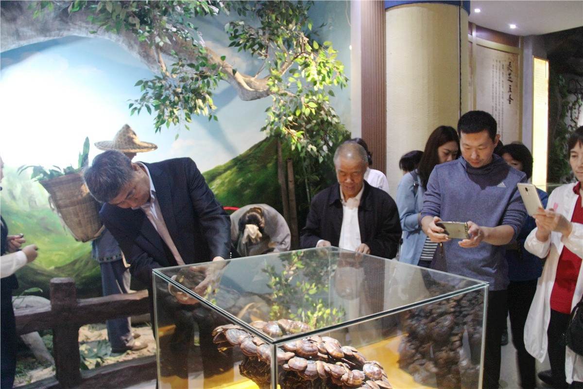 中國靈芝十大品牌|仙客來靈芝|仙客來靈芝破壁孢子粉|仙客來孢子油|仙客來靈芝飲片|仙客來破壁孢子粉|仙客來靈芝中藥飲片|馳名商標|whsy100.cn|