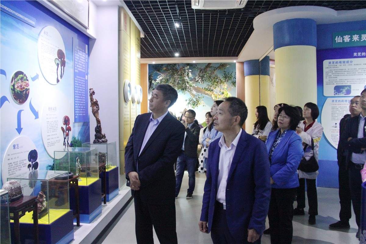 中國靈芝十大品牌|仙客來靈芝|仙客來靈芝破壁孢子粉|仙客來孢子油|仙客來靈芝飲片|仙客來破壁孢子粉|仙客來靈芝中藥飲片|馳名商標|whsy100.cn|