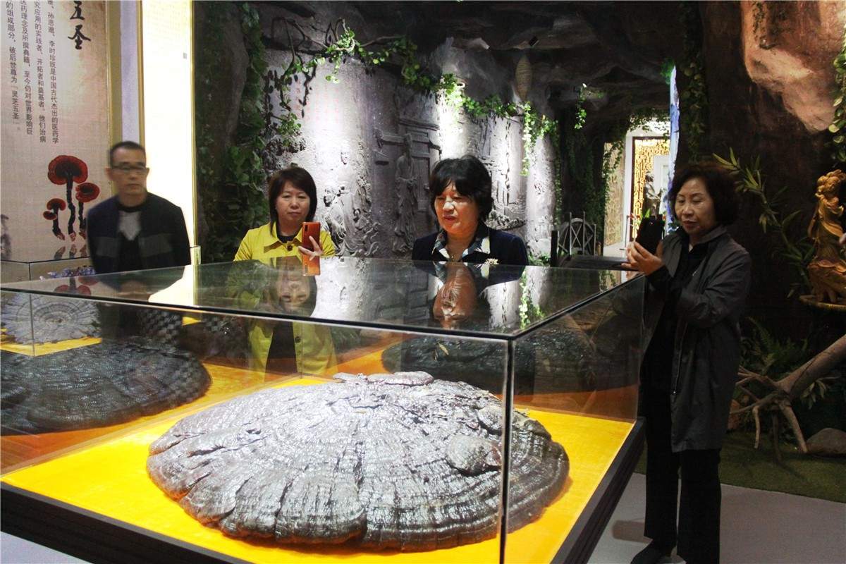 中國靈芝十大品牌|仙客來靈芝|仙客來靈芝破壁孢子粉|仙客來孢子油|仙客來靈芝飲片|仙客來破壁孢子粉|仙客來靈芝中藥飲片|馳名商標|whsy100.cn|