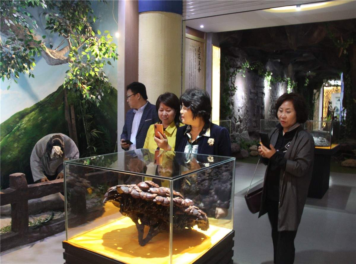 中國靈芝十大品牌|仙客來靈芝|仙客來靈芝破壁孢子粉|仙客來孢子油|仙客來靈芝飲片|仙客來破壁孢子粉|仙客來靈芝中藥飲片|馳名商標|whsy100.cn|