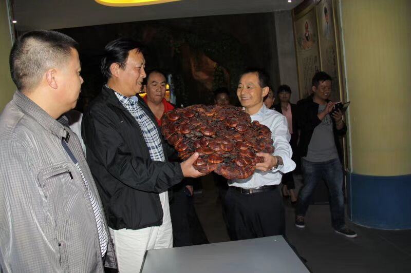 中國靈芝十大品牌|仙客來靈芝|仙客來靈芝破壁孢子粉|仙客來孢子油|仙客來靈芝飲片|仙客來破壁孢子粉|仙客來靈芝中藥飲片|馳名商標(biāo)|whsy100.cn|