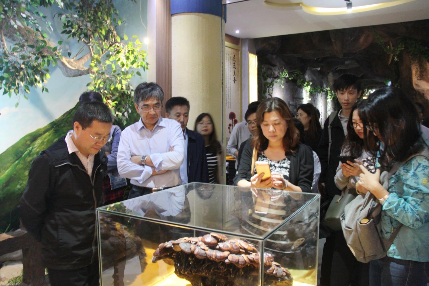 中國靈芝十大品牌|仙客來靈芝|仙客來靈芝破壁孢子粉|仙客來孢子油|仙客來靈芝飲片|仙客來破壁孢子粉|仙客來靈芝中藥飲片|馳名商標(biāo)|whsy100.cn|