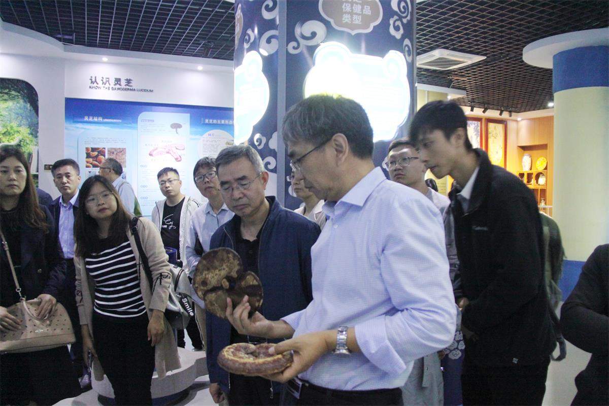 中國靈芝十大品牌|仙客來靈芝|仙客來靈芝破壁孢子粉|仙客來孢子油|仙客來靈芝飲片|仙客來破壁孢子粉|仙客來靈芝中藥飲片|馳名商標(biāo)|whsy100.cn|