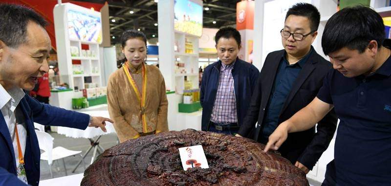 中國靈芝十大品牌|仙客來靈芝|仙客來靈芝破壁孢子粉|仙客來孢子油|仙客來靈芝飲片|仙客來破壁孢子粉|仙客來靈芝中藥飲片|馳名商標|whsy100.cn|