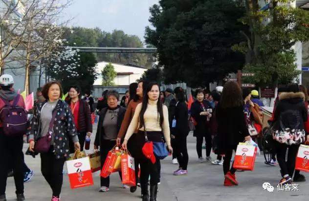 中國靈芝十大品牌|仙客來靈芝|仙客來靈芝破壁孢子粉|仙客來孢子油|仙客來靈芝飲片|仙客來破壁孢子粉|仙客來靈芝中藥飲片|馳名商標|whsy100.cn|