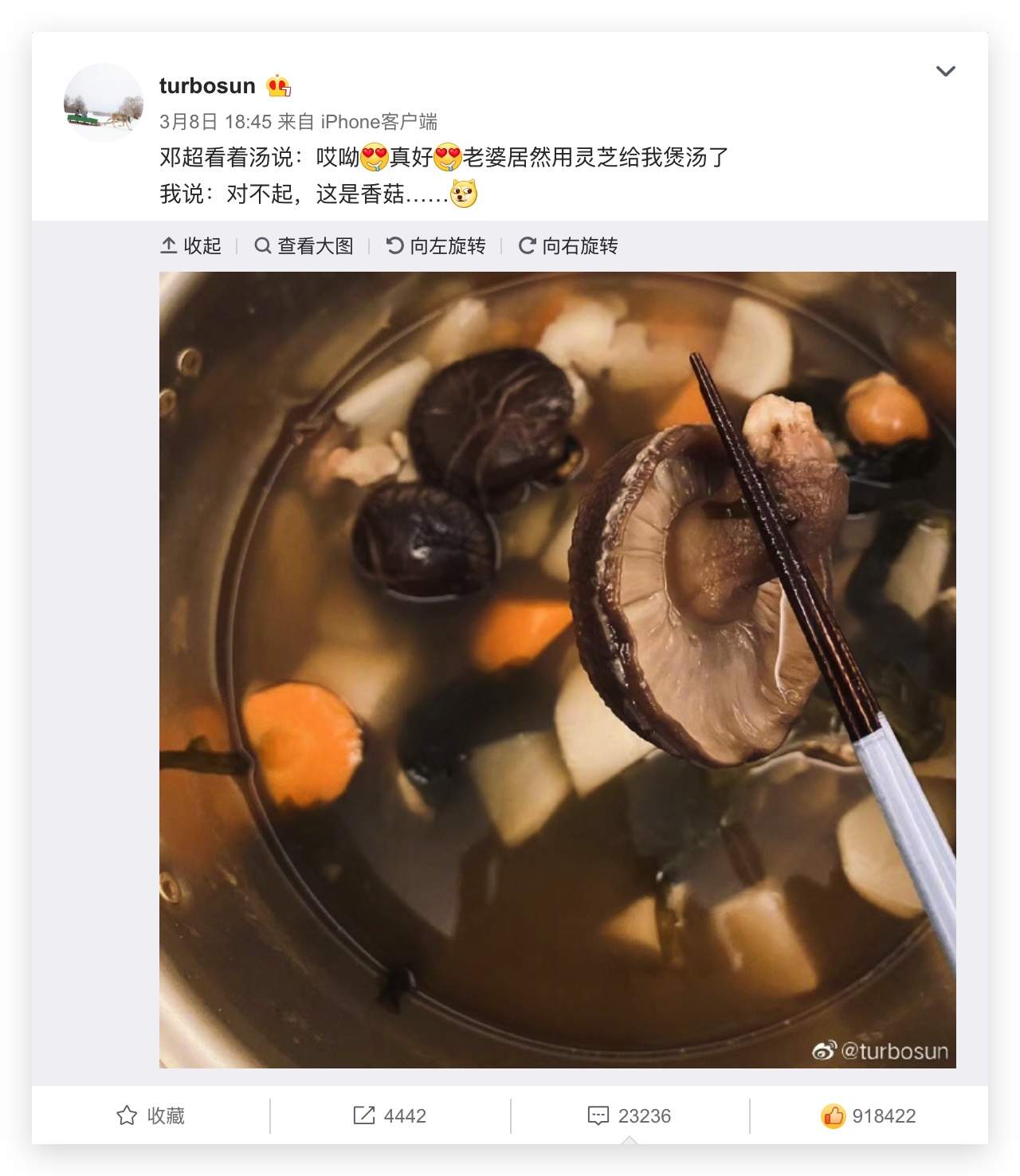 杭州亞運會官方靈芝產(chǎn)品供應商|杭州亞運會官方供應商|中國靈芝十大品牌|仙客來靈芝|仙客來靈芝破壁孢子粉|仙客來孢子油|仙客來靈芝飲片|仙客來破壁孢子粉|靈芝孢子油|孢子粉|靈芝破壁孢子粉|靈芝|中華老字號