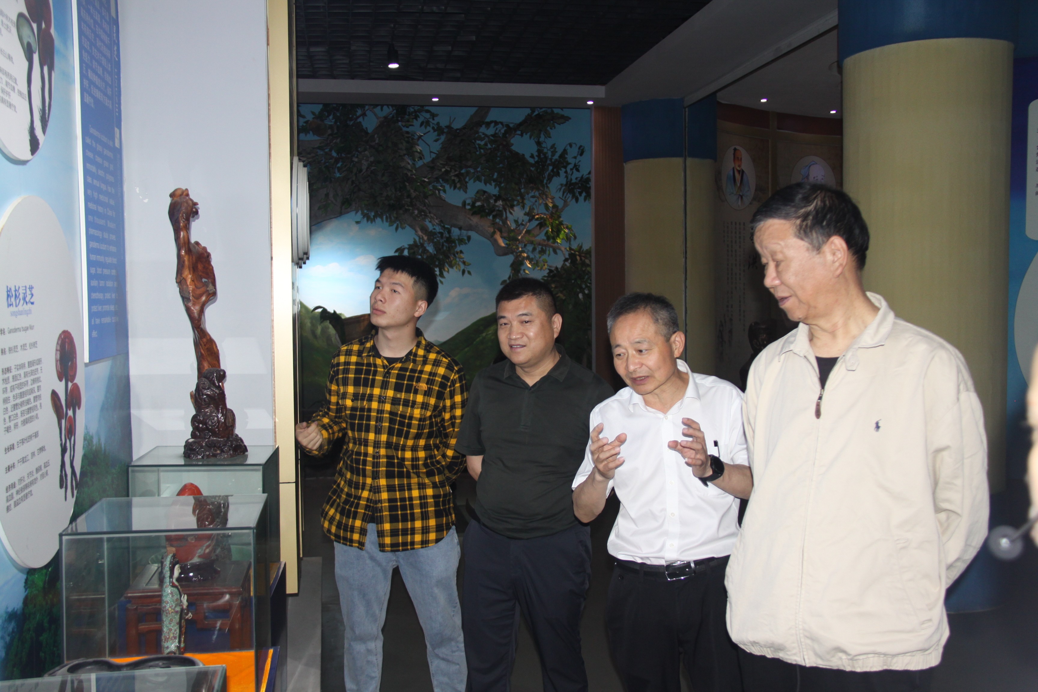 杭州亞運(yùn)會(huì)官方靈芝產(chǎn)品供應(yīng)商|杭州亞運(yùn)會(huì)官方供應(yīng)商|中國(guó)靈芝十大品牌|仙客來(lái)靈芝|仙客來(lái)靈芝破壁孢子粉|仙客來(lái)孢子油|仙客來(lái)靈芝飲片|仙客來(lái)破壁孢子粉|靈芝孢子油|孢子粉|靈芝破壁孢子粉|靈芝|中華老字號(hào)