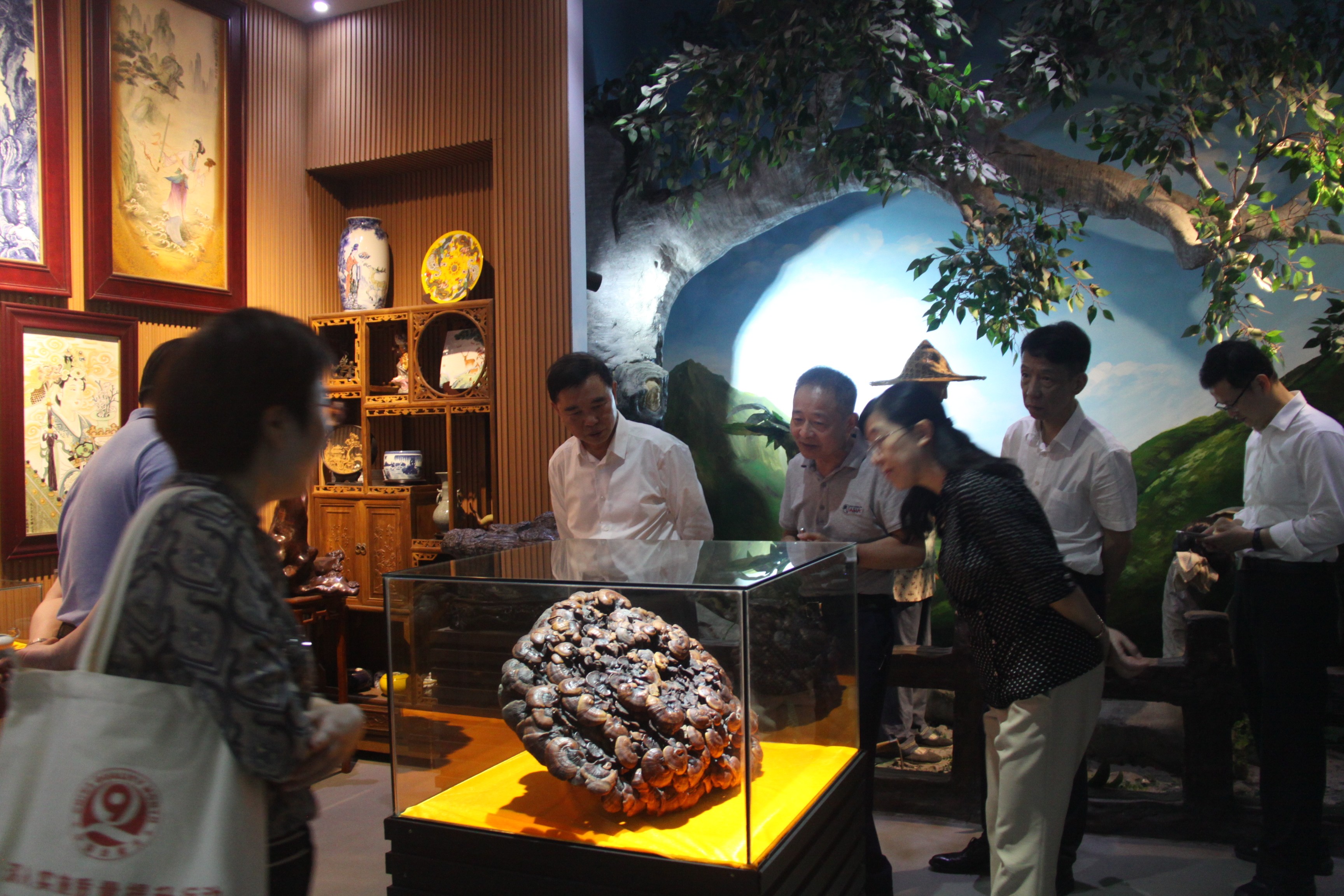 杭州亞運(yùn)會(huì)官方靈芝產(chǎn)品供應(yīng)商|杭州亞運(yùn)會(huì)官方供應(yīng)商|中國靈芝十大品牌|仙客來靈芝|仙客來靈芝破壁孢子粉|仙客來孢子油|仙客來靈芝飲片|仙客來破壁孢子粉|靈芝孢子油|孢子粉|靈芝破壁孢子粉|靈芝|中華老字號(hào)