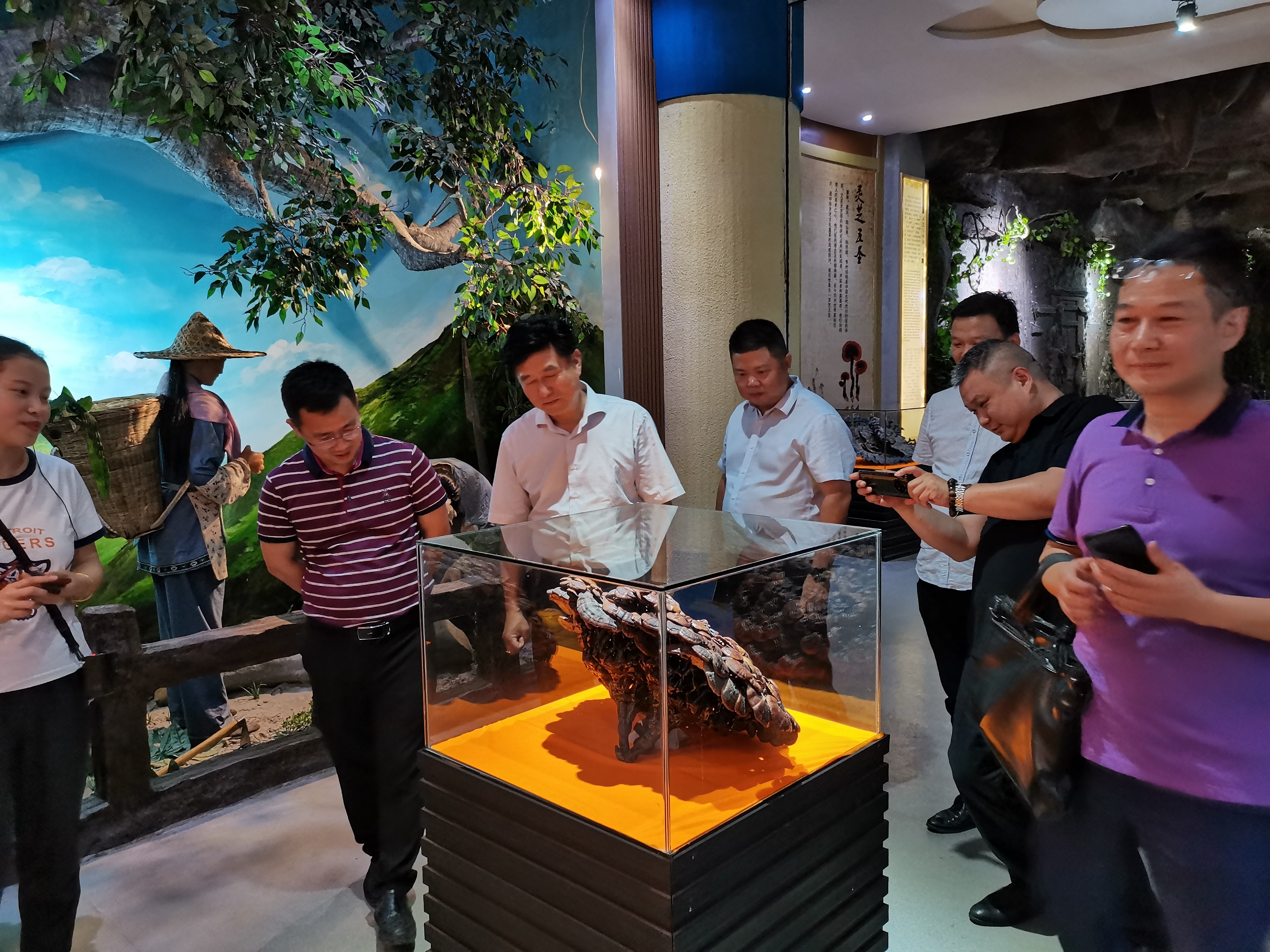 杭州亞運會官方靈芝產(chǎn)品供應商|杭州亞運會官方供應商|中國靈芝十大品牌|仙客來靈芝|仙客來靈芝破壁孢子粉|仙客來孢子油|仙客來靈芝飲片|仙客來破壁孢子粉|靈芝孢子油|孢子粉|靈芝破壁孢子粉|靈芝|中華老字號