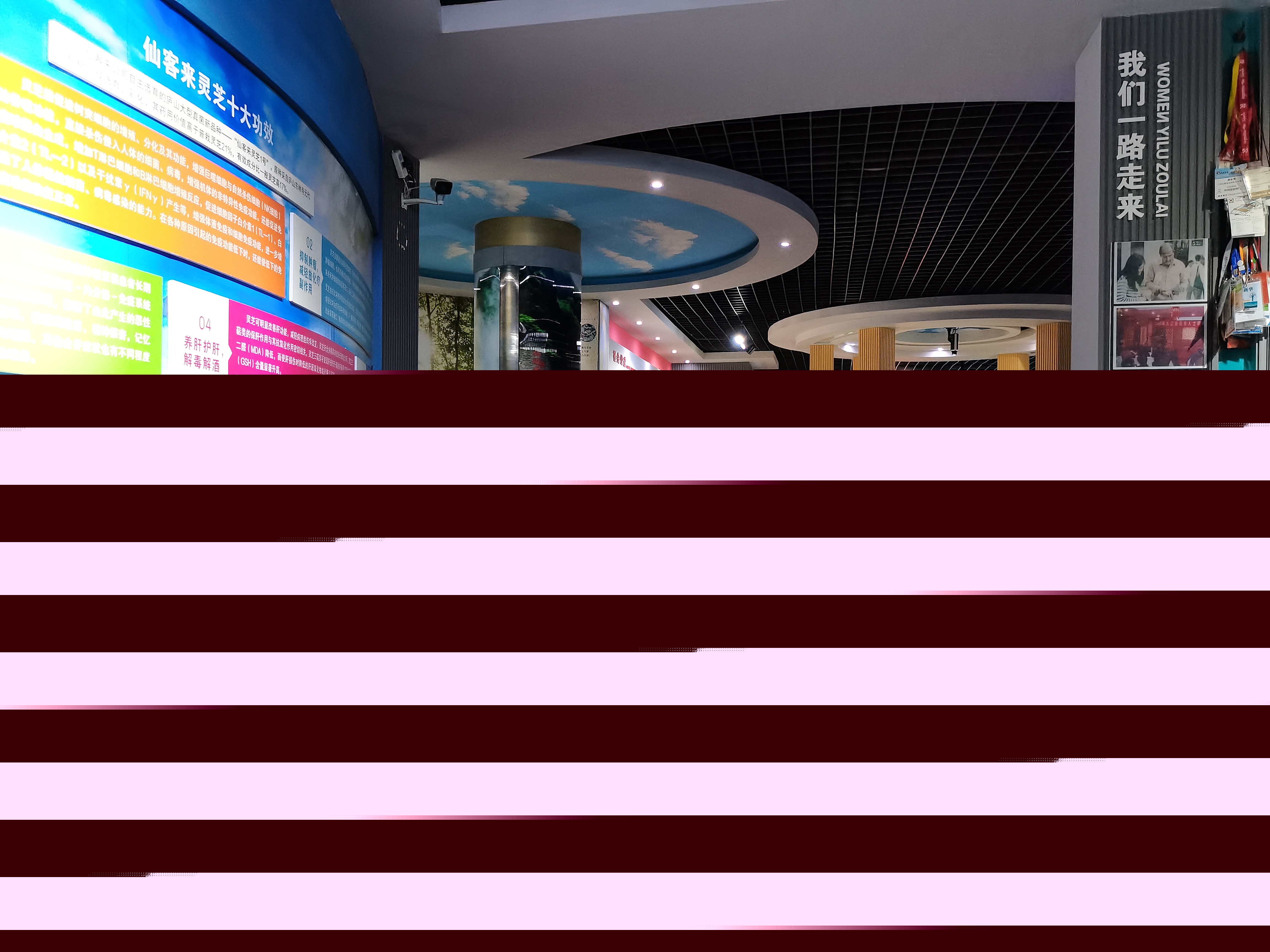 杭州亞運會官方靈芝產(chǎn)品供應商|杭州亞運會官方供應商|中國靈芝十大品牌|仙客來靈芝|仙客來靈芝破壁孢子粉|仙客來孢子油|仙客來靈芝飲片|仙客來破壁孢子粉|靈芝孢子油|孢子粉|靈芝破壁孢子粉|靈芝|中華老字號