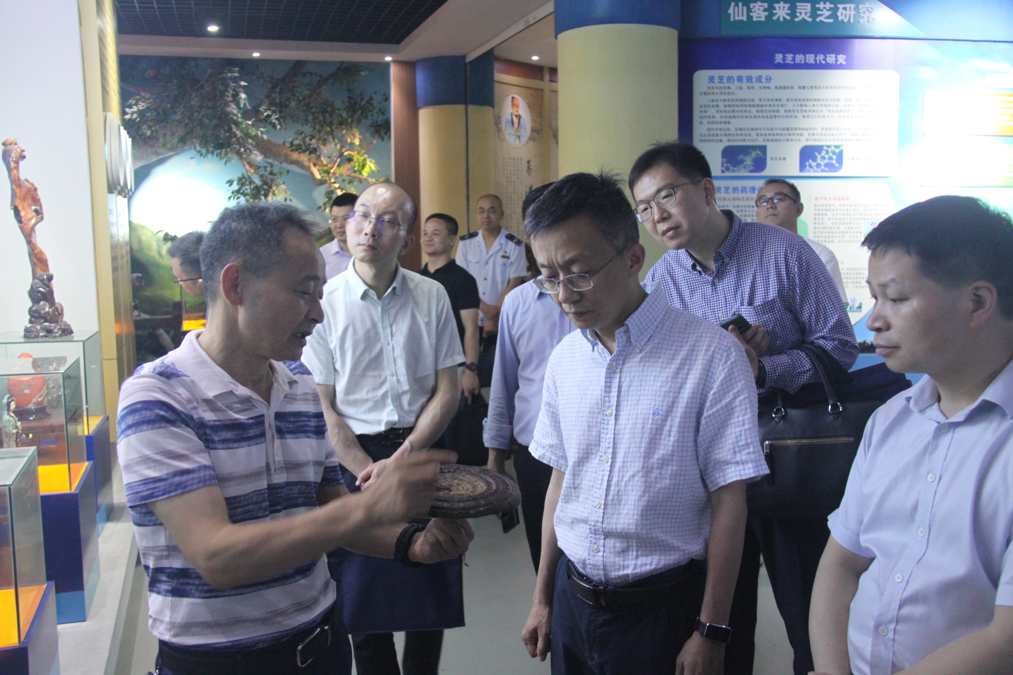 杭州亞運(yùn)會(huì)官方靈芝產(chǎn)品供應(yīng)商|杭州亞運(yùn)會(huì)官方供應(yīng)商|中國(guó)靈芝十大品牌|仙客來靈芝|仙客來靈芝破壁孢子粉|仙客來孢子油|仙客來靈芝飲片|仙客來破壁孢子粉|靈芝孢子油|孢子粉|靈芝破壁孢子粉|靈芝|中華老字號(hào)