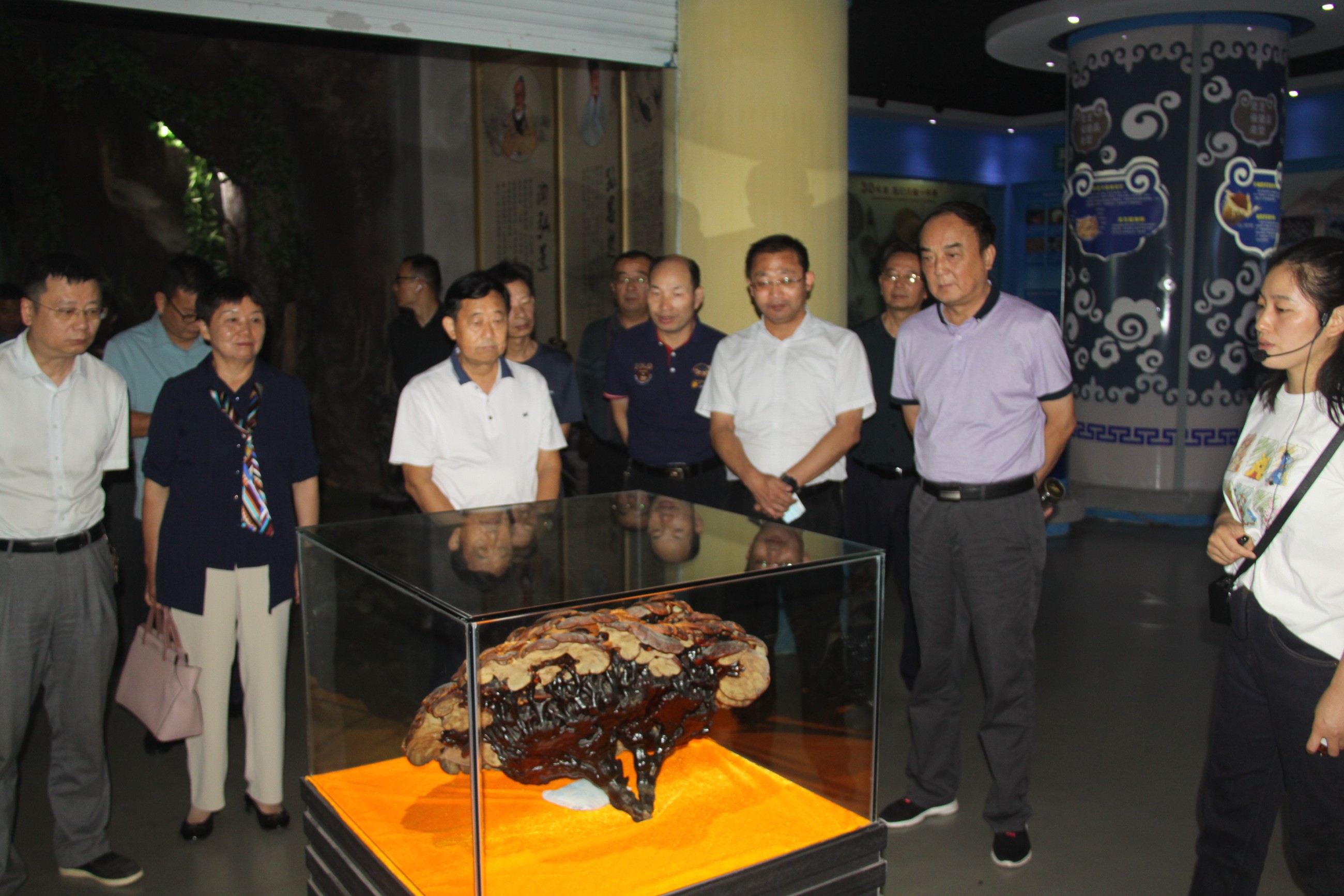 杭州亞運(yùn)會(huì)官方靈芝產(chǎn)品供應(yīng)商|杭州亞運(yùn)會(huì)官方供應(yīng)商|中國靈芝十大品牌|仙客來靈芝|仙客來靈芝破壁孢子粉|仙客來孢子油|仙客來靈芝飲片|仙客來破壁孢子粉|靈芝孢子油|孢子粉|靈芝破壁孢子粉|靈芝|中華老字號